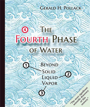 The Fourth Phase of Water