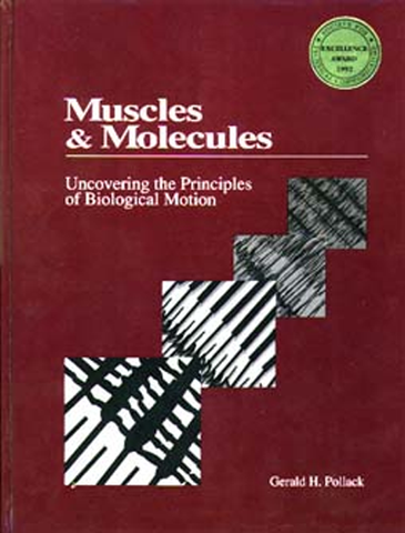 Muscles and Molecules